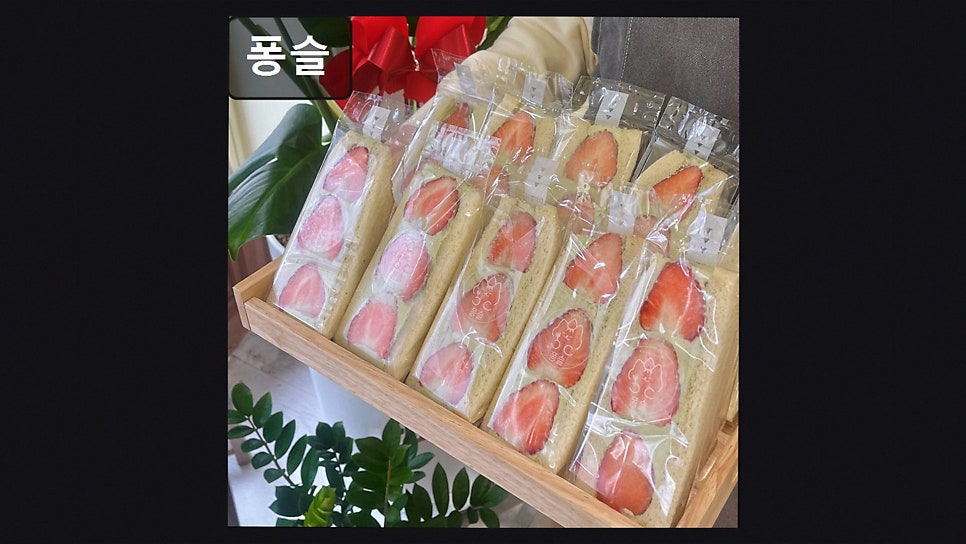 퐁슬 사진 5