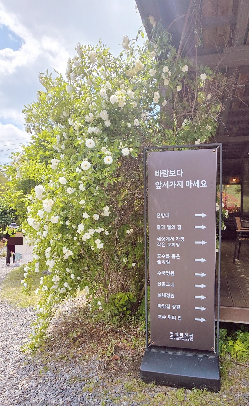 호수위의찻집 사진 5