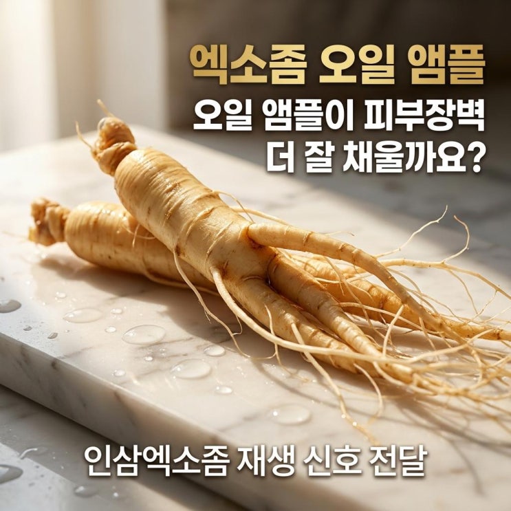  엑소좀 오일 앰플 피부장벽 강화하는 이유 