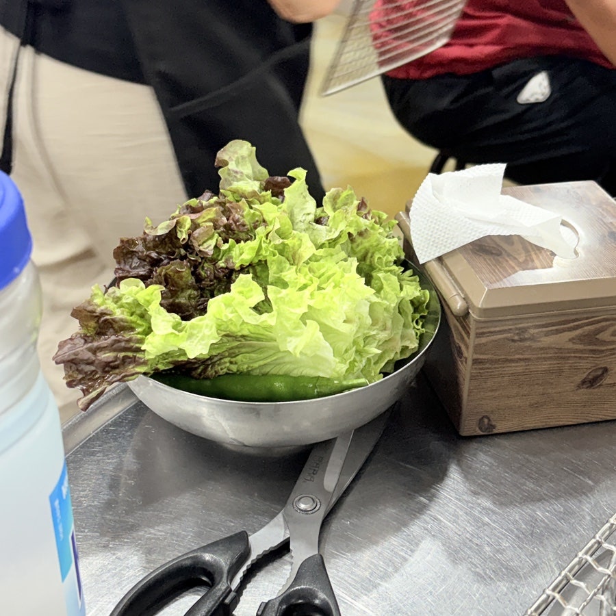 돼지한마당 사진 4