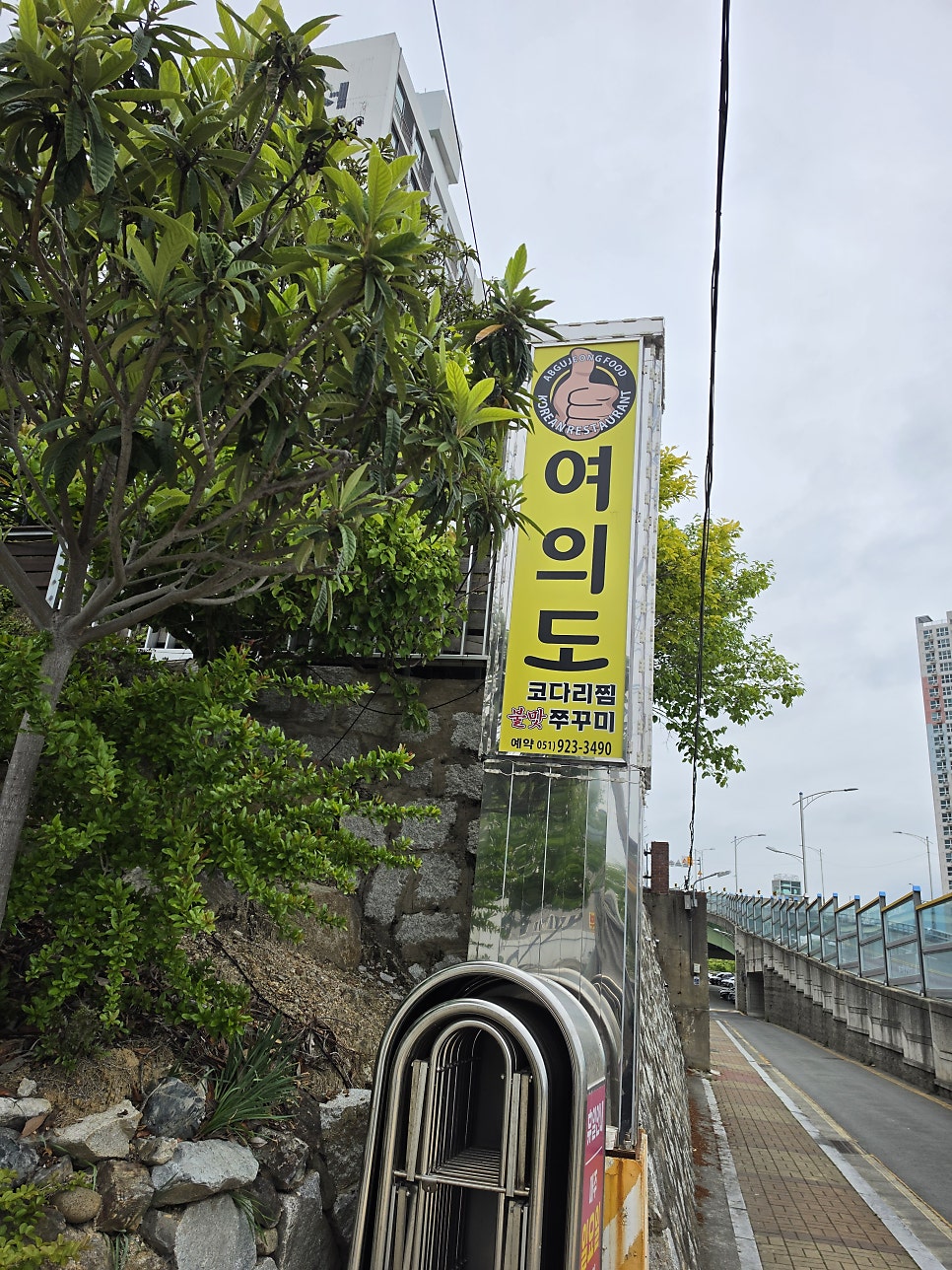 일광여의도 사진 2