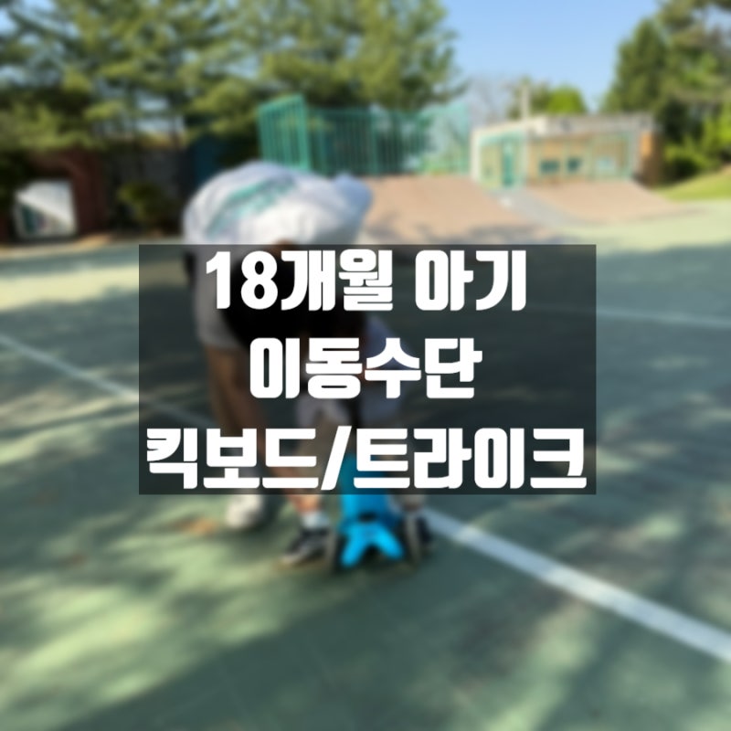 18개월 아기 트라이크 후기 휴대용유모차 마이크로미니투고 쥬시트라이크 샘트라이크