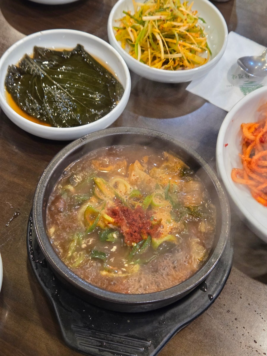 솔밭 사진 3