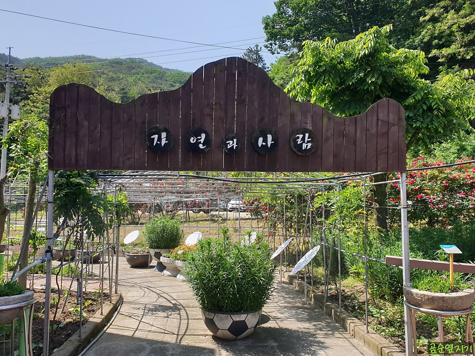 절골 사진 2