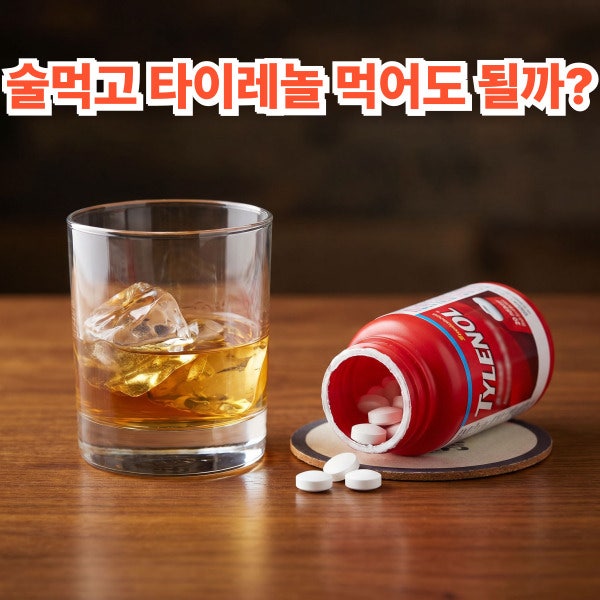 술먹고 타이레놀 먹어도 될까? 숙취 두통약 복용 주의사항 알아보기