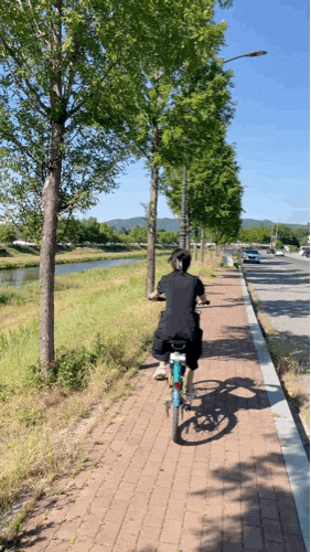 경주 자전거 대여 타실라 뚜벅이 경주판 따릉이로 여행하기