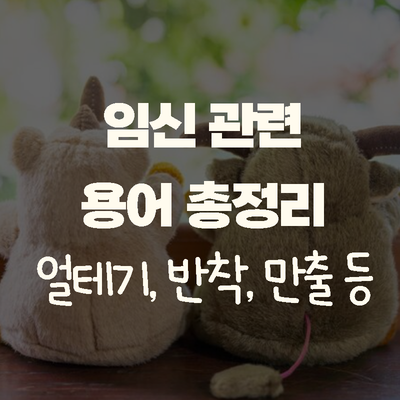 임신 관련 용어 총정리(배테기, 얼테기, 화유, 반착 등)