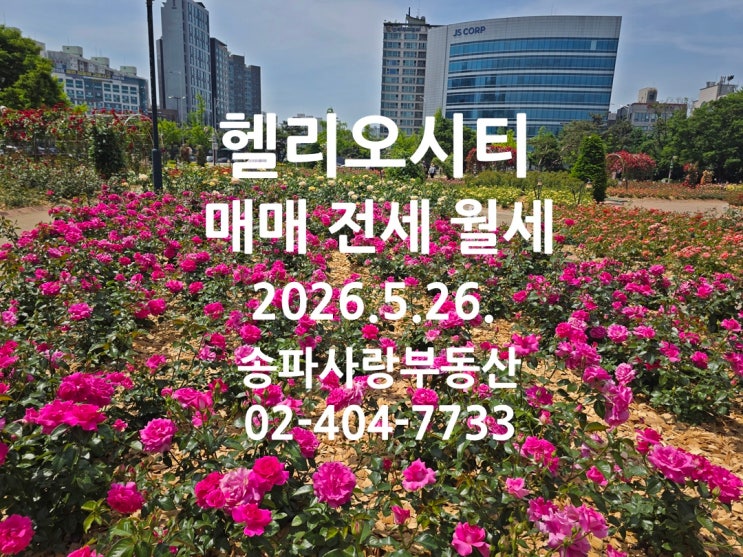  장미꽃과 함께 전하는 헬리오시티 매매 전세 월세 2026년 5월 26일