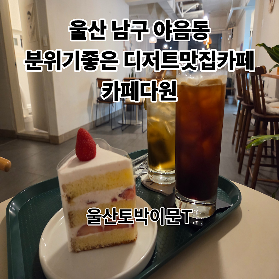 카페다원 사진 1