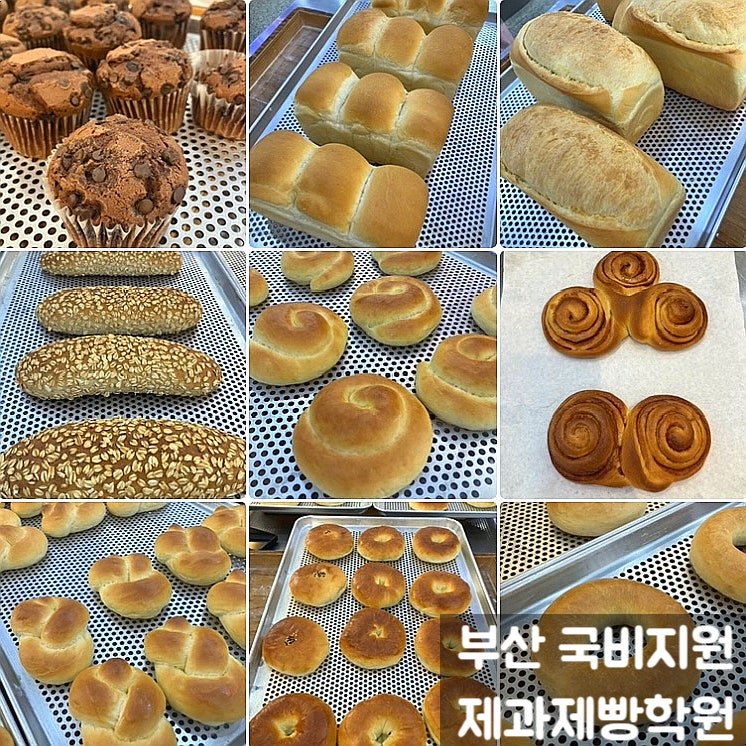 부산 제과제빵학원 추천 국비지원 수영제과제빵학원 실기 준비 후기