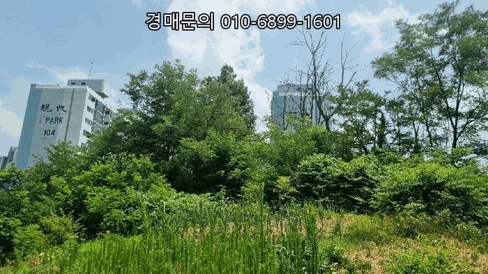  경상남도 거창군 거창읍 상림리 산11-2, 풍요로운 가치 품은 임야 경매! 미래를 심을 절호의 투자 기회 2025타경10245