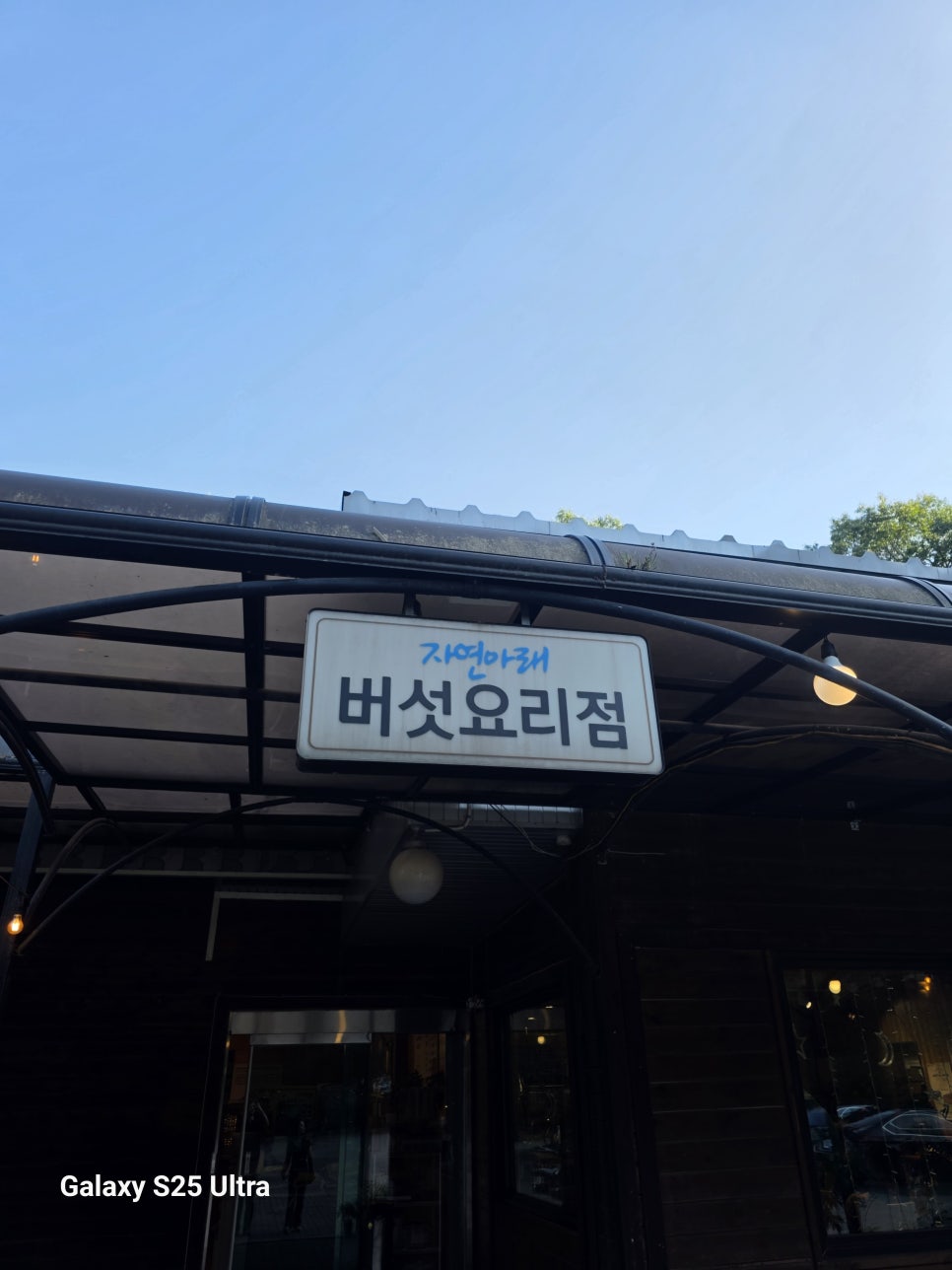이남주자연아래버섯 사진 2