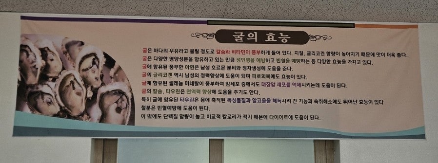 명동굴칼국수 사진 6