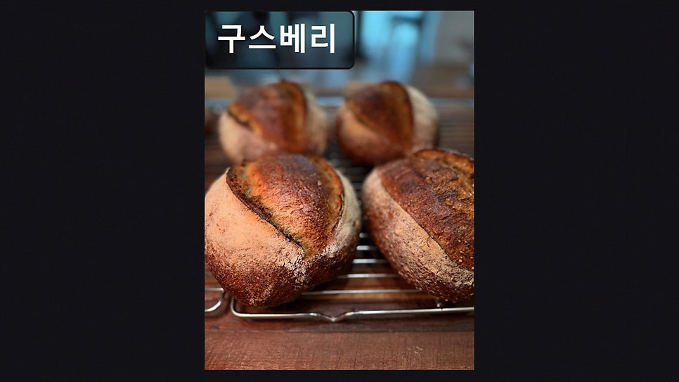 구스베리 사진 6