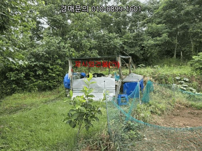  합천 귀농귀촌 토지 경매, 4회 유찰로 감정가의 24%까지 떨어진 경상남도 합천군 초계면 아막리 210 농지 투자 기회 (2025타경493)