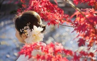  교토 기모노 촬영 체험 - 단풍 시즌 전문 스냅 권장