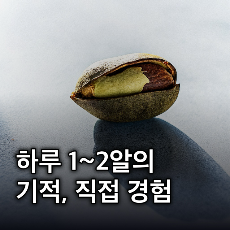  브라질너트 효능 부작용 칼로리: 하루 1~2알의 기적