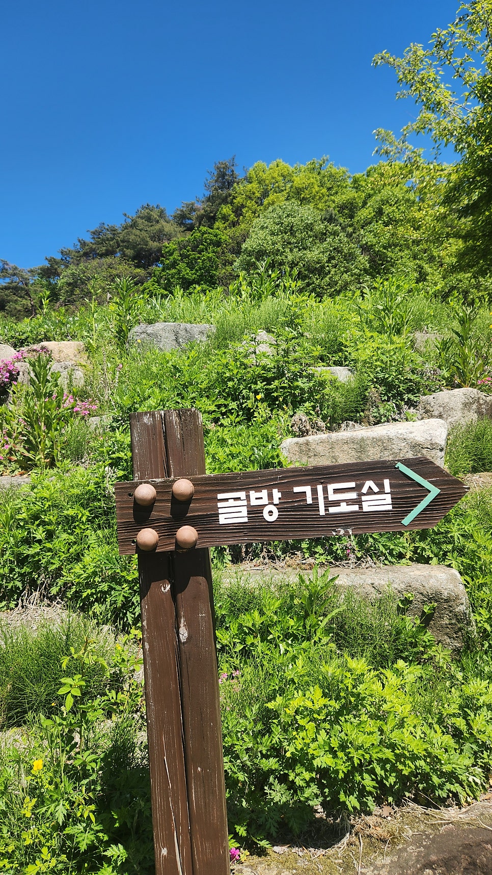 횡성면옥 사진 5