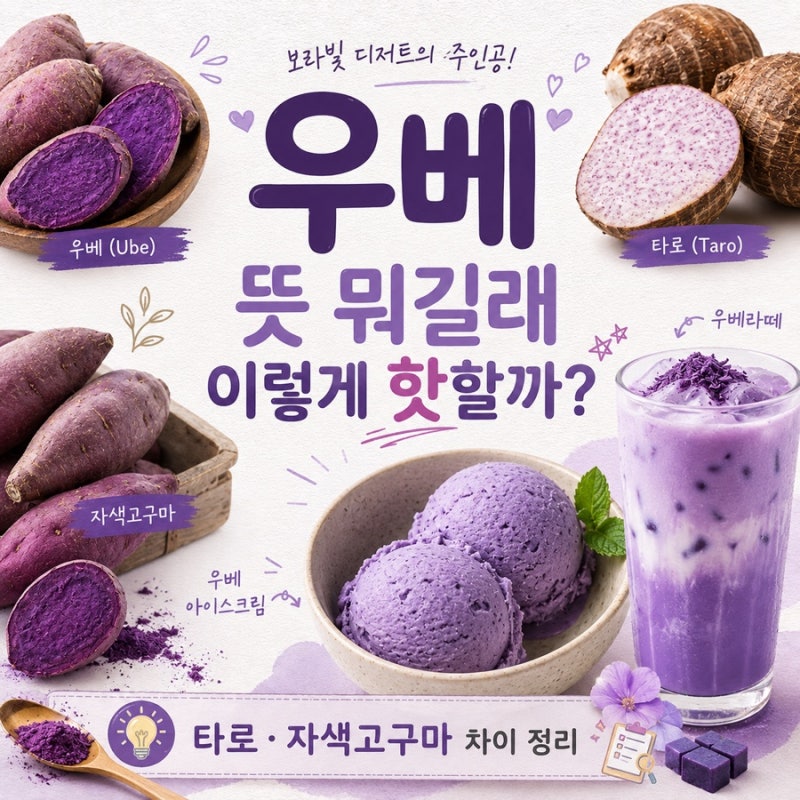 우베 뜻 알고 보니 반전! 우베 타로 자색고구마랑 뭐가 다를까?