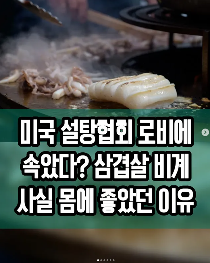  미국 설탕협회 로비에 속았다? 삼겹살 비계 사실 몸에 좋았던 이유