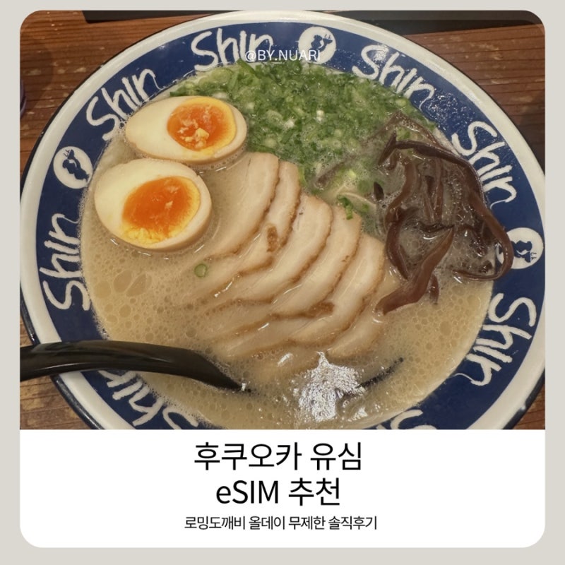 [후쿠오카 여행 준비 3편] 유심 vs 로밍 vs eSIM 비교 로밍도깨비 올데이 무제한 솔직 후기