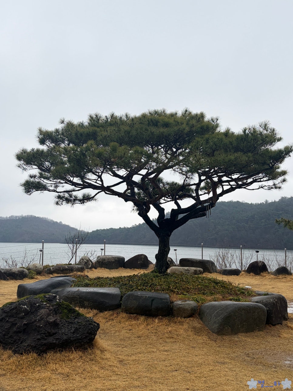 궁원230 사진 3