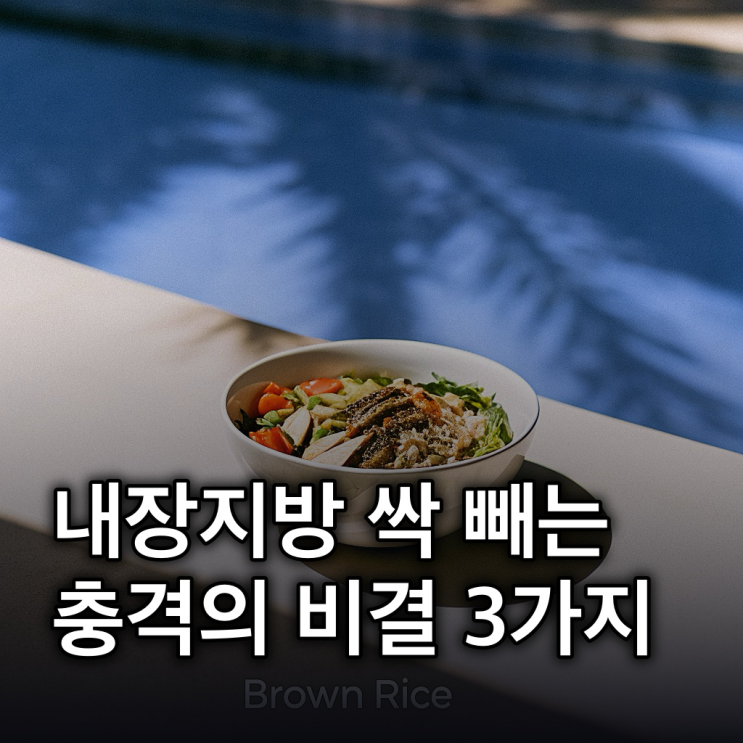  내장지방 확실히 빼는 방법 3가지: 식습관+운동+회복