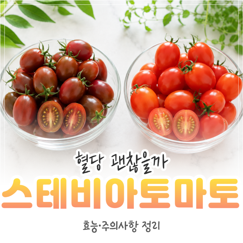 스테비아 토마토 왜 이렇게 달까? 부작용과 안전성 총정리