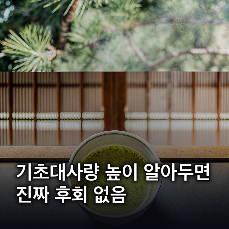  기초대사량 높이는 음식 5가지, 하루 3잔 녹차 효과는?