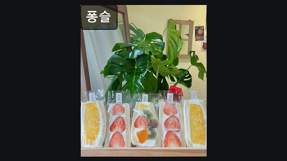 퐁슬 사진 4