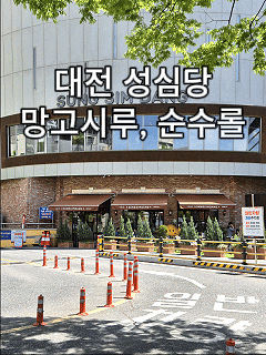  대전 성심당 망고시루 후기 | 웨이팅·가격·보냉팩·순수롤 실구매 후기