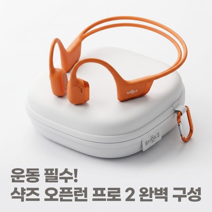  샥즈 오픈런 프로 2 S820 블루투스 골전도 이어폰 필수 PA 액세서리 가이드 (가격 혜택 정보 포함)