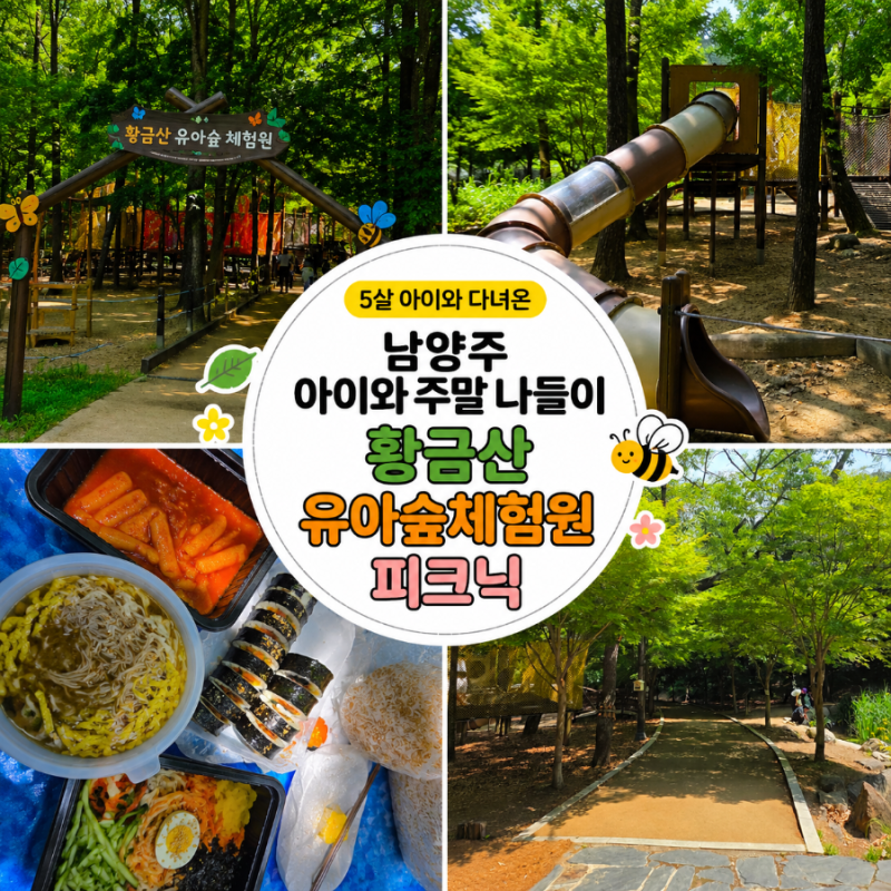 남양주 숲놀이터 황금산 유아숲체험원 아이와 주말 나들이