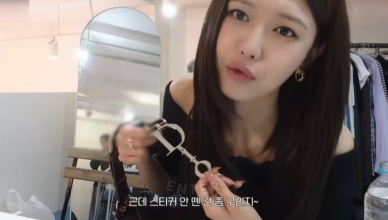 [DIOR] 디올 디올리백, 소녀시대 유리 가방