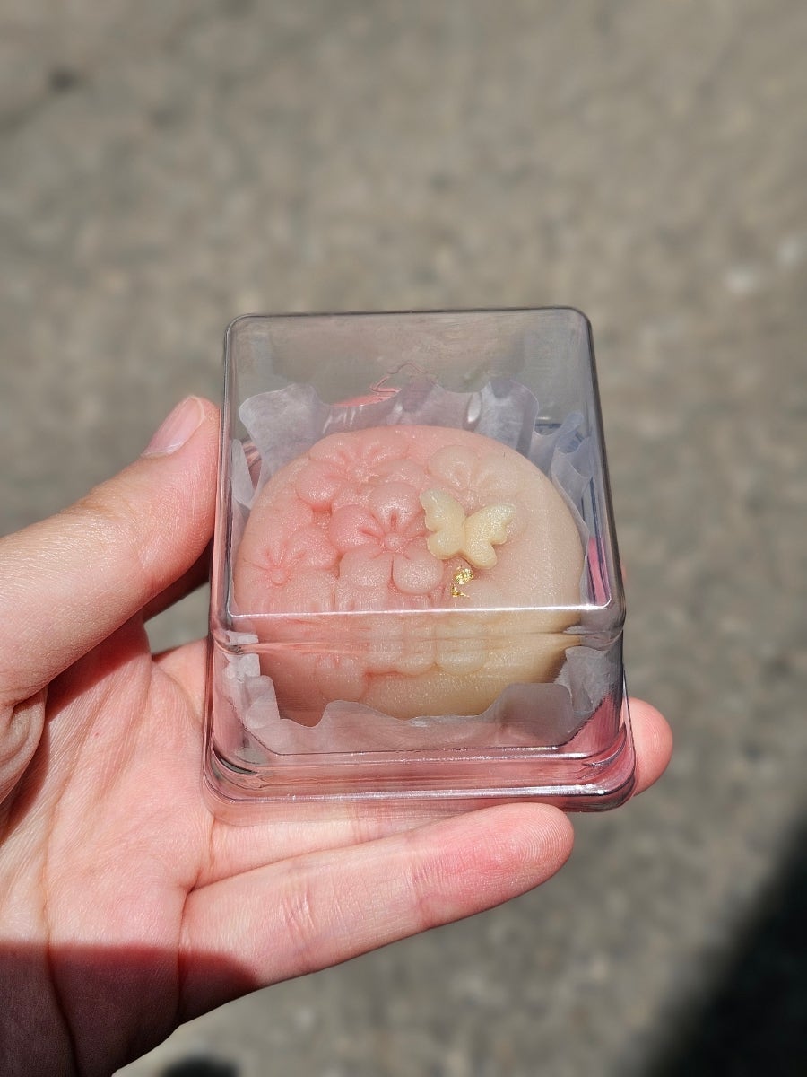 다람쥐정원 사진 6