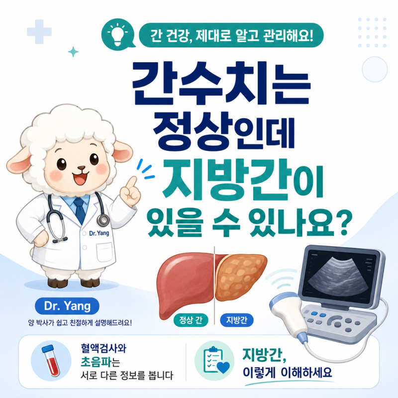 간수치는 정상인데 지방간이 있을 수 있나요?