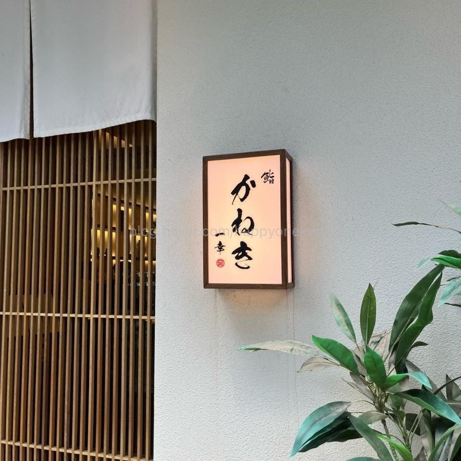 가네끼이코 사진 4