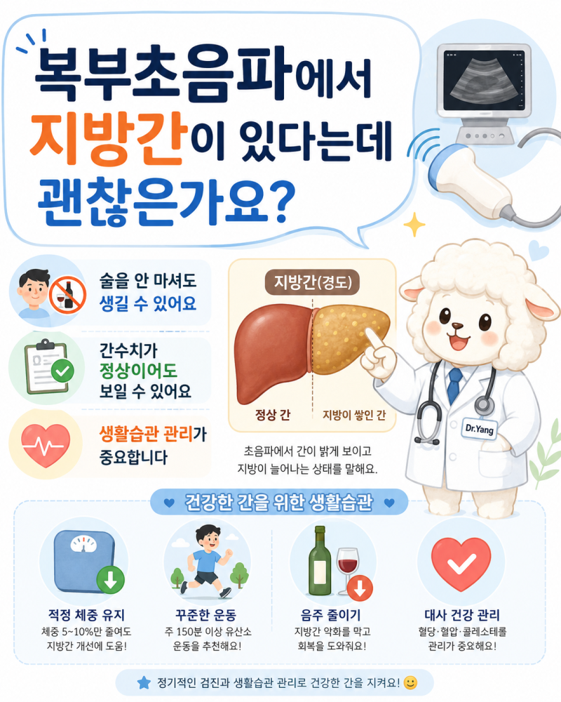 복부초음파에서 지방간이 있다는데 괜찮은가요?