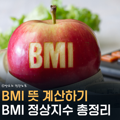 BMI 뜻 계산하기 하는 방법 정상 지수｜낮다고 무조건 좋은 게 아니다?