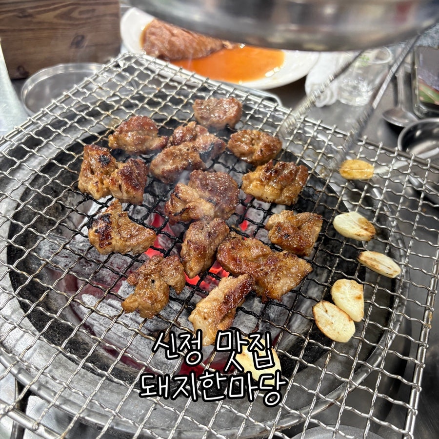 돼지한마당 사진 1