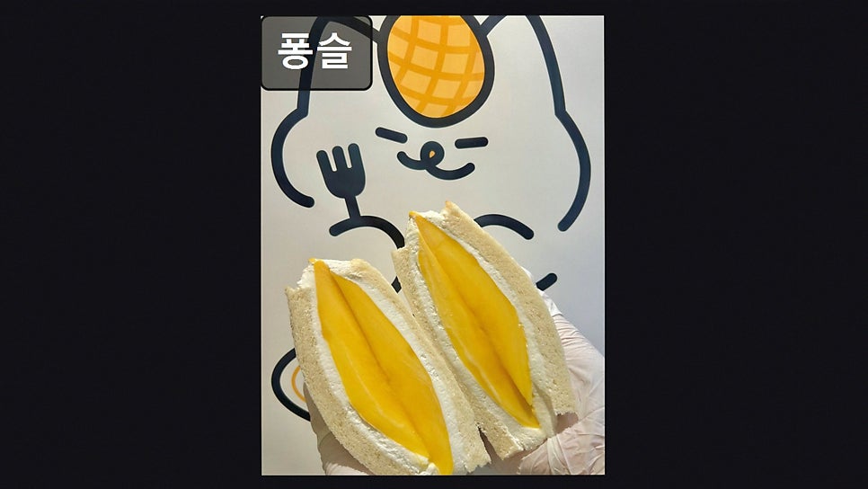 퐁슬 사진 6