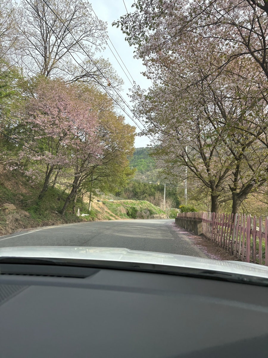 더조이하우스 사진 4
