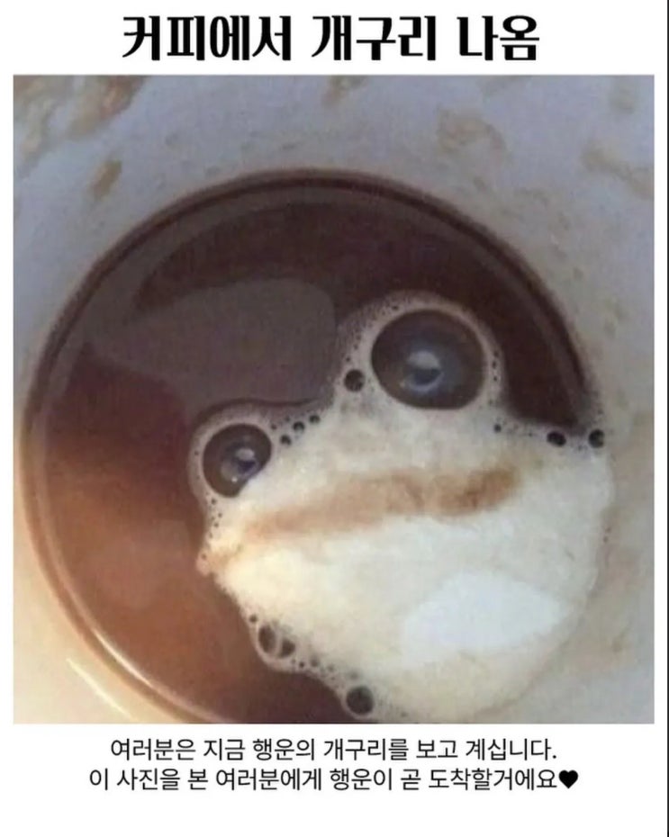  커피에서 개구리나옴.jpg