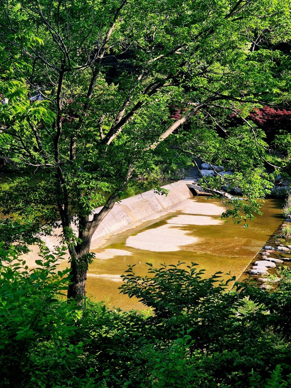 닥밭골산림욕장 사진 5