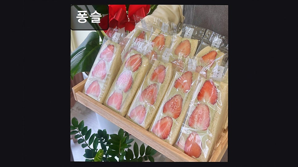 퐁슬 사진 2