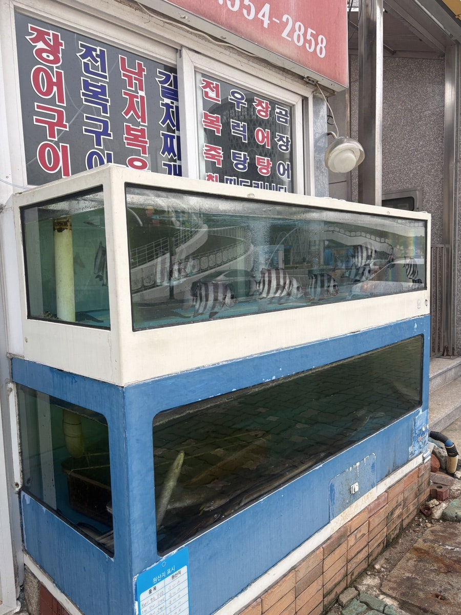 어촌회식당 사진 6