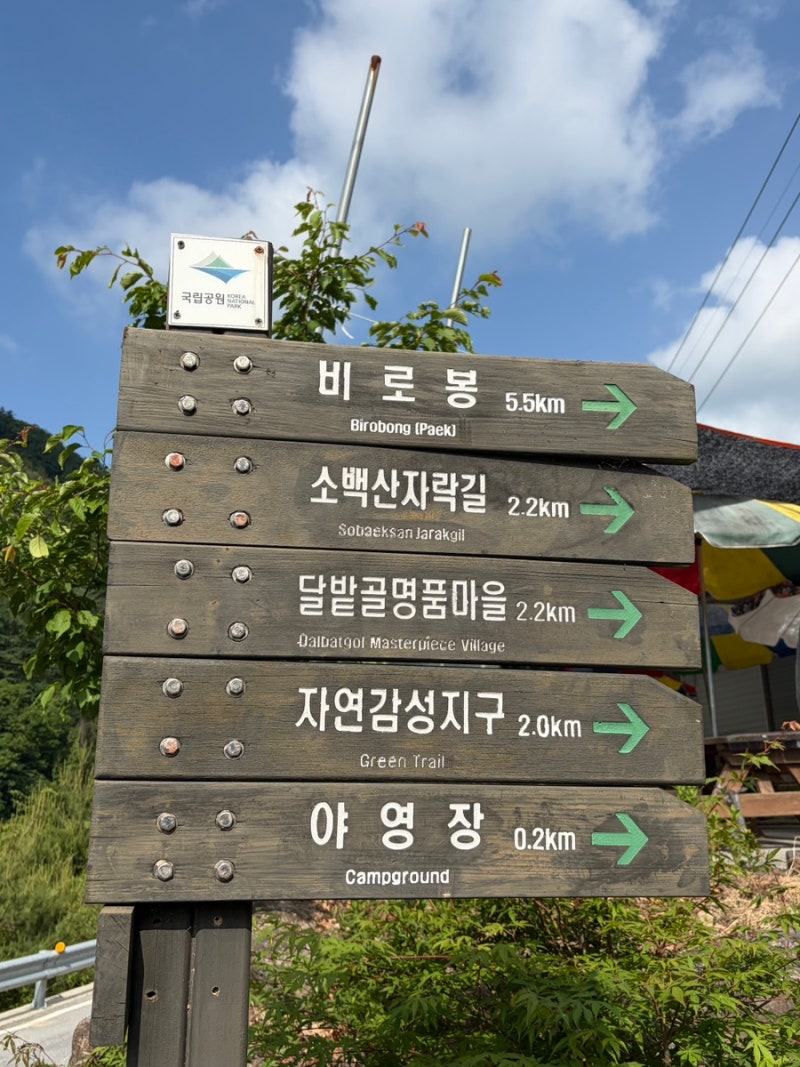 소백산 비로봉 삼가야영장에서 출발, 달밭골 마을에서 포기