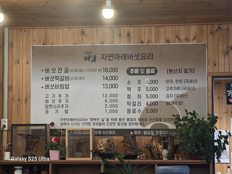 이남주자연아래버섯 사진 3