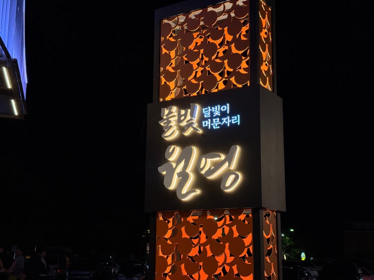  안동 월영교 처음 가시나요? 100% 성공하는 문보트 명당과 황금 힐링 산책로 (feat. 주차 꿀팁)