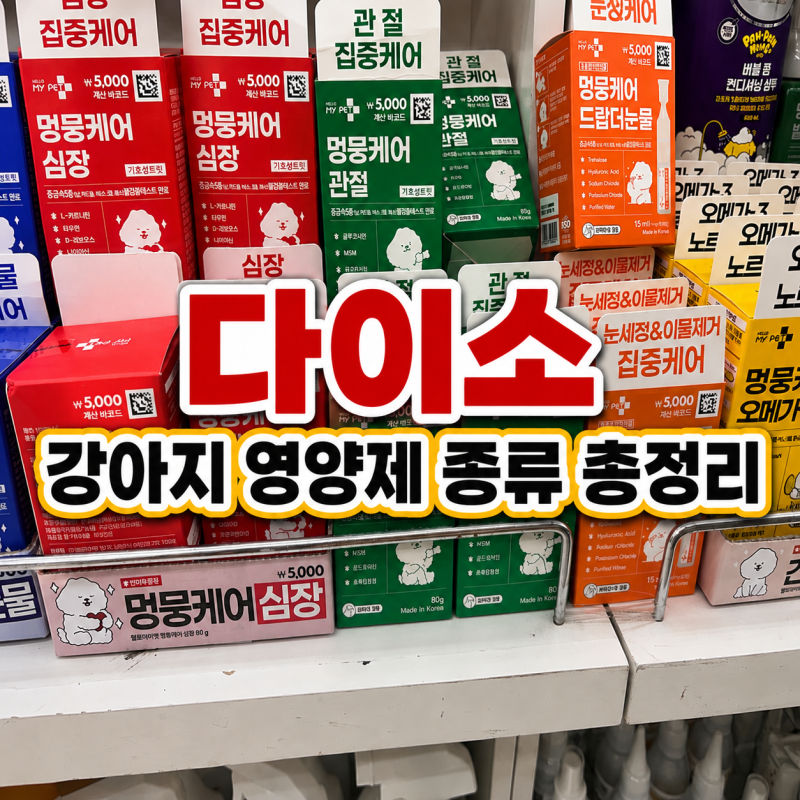 다이소 강아지 영양제 종류 총정리
